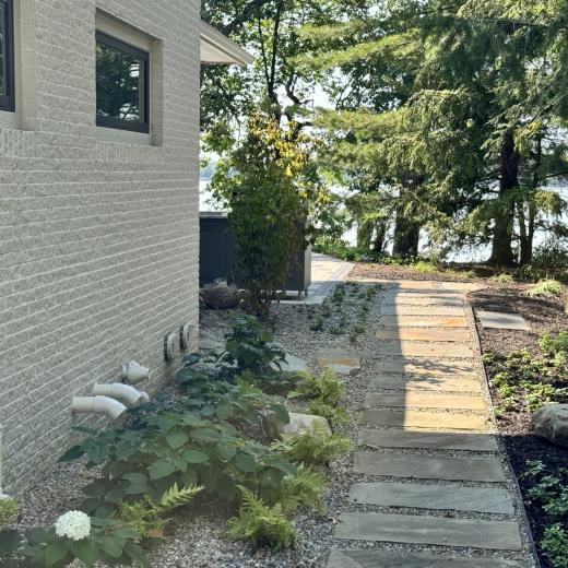 Plants and Path Plants and Path