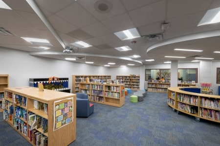 Library Filled with Books